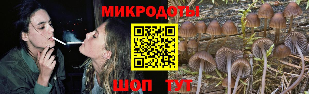 наркота  Псилоцибиновые грибы GOLDEN TEACHER  Вход с VPN  Белгород  Псилоцибиновые грибы Psilocybine cubensis 